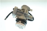 Pump Assembly,Drain