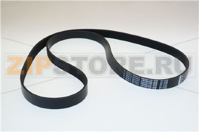 Belt 1428 PJ8 
