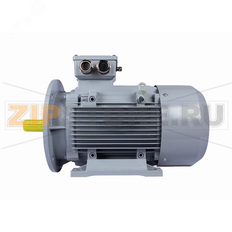 Электродвигатель 11 кВт, 380/660 В, 1500 об/мин, IP55 ESQ 01.05.02.000052 