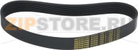 BELT MULTIGRIP J 559 H23 9 GOLE