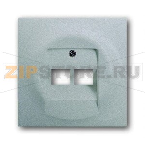 Накладка для двухпостовой розетки с полем для надписи ABB 2CKA001753A0084 