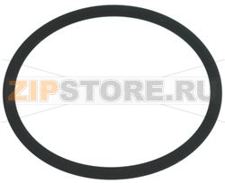 OR GASKET 