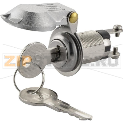 Выключатель с ключом 250 В/AC, 1.5 А, 1 x выкл/вкл, 1x90°, 1 шт TRU Components TC-K3-16A2-06 
