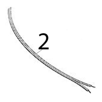 Sensore livello acqua Scotsman MF 46 AS
