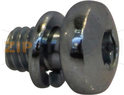 TORX SCREW M4X6 