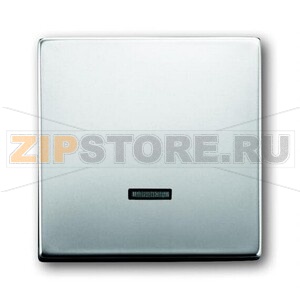 Клавиша для светорегулятора, сталь ABB 2CKA006599A2926 