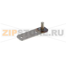 LOWER DOOR HINGE - STEAMERS 