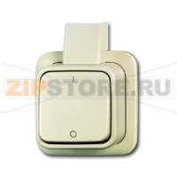 Выключатель одноклавишный, двухполюсный, монтаж: открытый, слоновая кость ABB 2CKA001042A0654