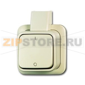 Выключатель одноклавишный, двухполюсный, монтаж: открытый, слоновая кость ABB 2CKA001042A0654 