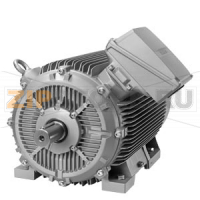 Низковольтный электродвигатель SIMOTICS SD TYPE: 1CV3317B Low-voltage motor, IEC Squirrel-cage rotor, self-ventilated, IP55 Temperature class 155(F), according to 130(B) cast iron frame Performance Line Premium Efficiency IE3, 4-pole * Size 315 * 315 kW (