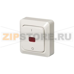 Выключатель двухполюсный, белый ABB 2TKA000137G1 