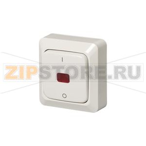 Выключатель двухполюсный, белый ABB 2TKA000137G1 