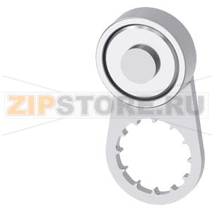 ПОВОРОТНЫЙ РЫЧАГ АКТУАТОРА ДЛЯ ПОЗИЦИОННОГО ВЫКЛЮЧАТЕЛЯ 3SE52, МЕТ. РЫЧАГ, 21MM, ПОДШИПНИКОВЫЙ РОЛИК 19MM Siemens 3SE5000-0AA23 