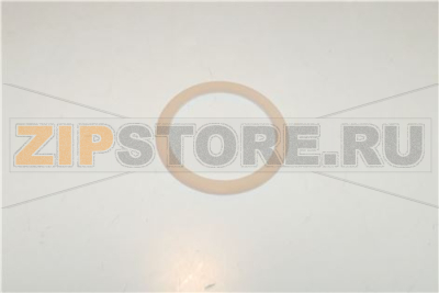 Flachdichtung PTFE AD   47mm ID   38mm 