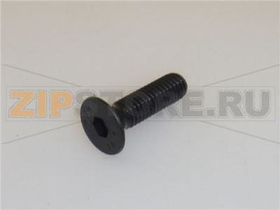 VITE A TESTA SVASATA PIANA M6x18 