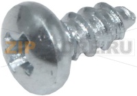 BOMBED HEAD SCREW ø 2.9x6.5 mm