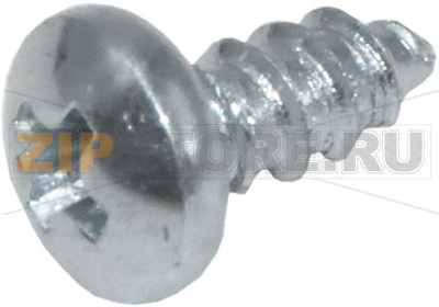 BOMBED HEAD SCREW ø 2.9x6.5 mm 