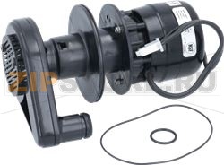 WATER PUMP 230V/50/60HZ/1PH 