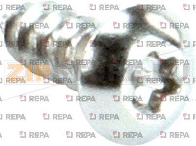 SELF TAPPING SCREW ø 4.2x13 mm 