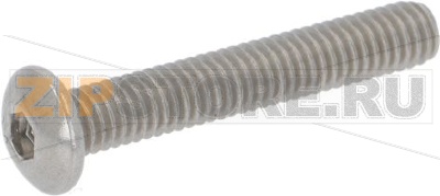 VITE TTE1 M4x25 INOX 