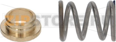 SPRING WITH BEARING BUSHING 