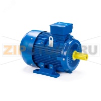 Электродвигатель 4 кВт, 220/380 В, 3000 об/мин, IP55 ESQ 01.05.221618