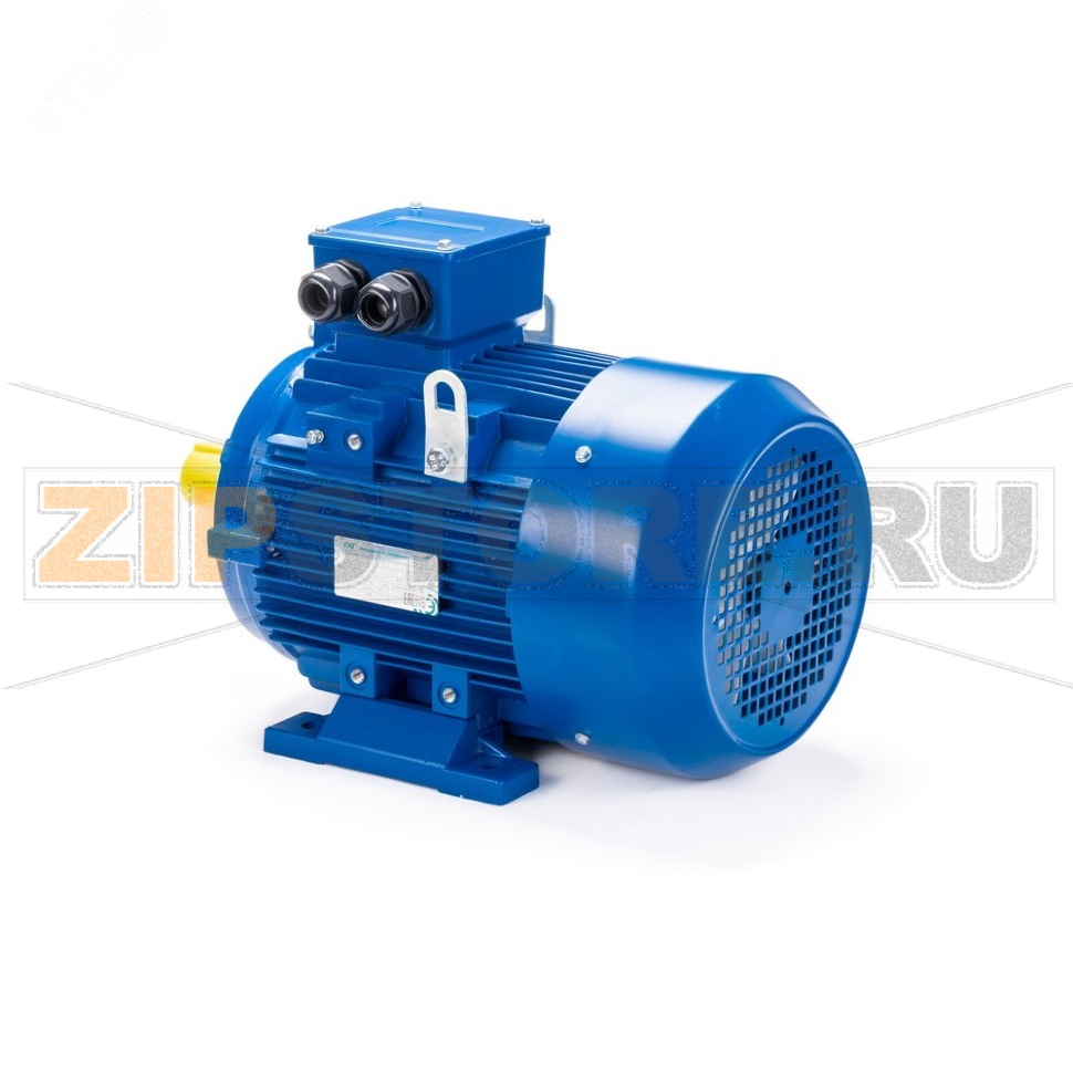 Электродвигатель 4 кВт, 220/380 В, 3000 об/мин, IP55 ESQ 01.05.221618 