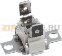 TEMPERATURE LIMITER BOSCH 10004817