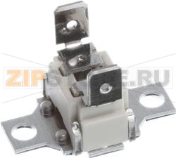 TEMPERATURE LIMITER BOSCH 10004817 