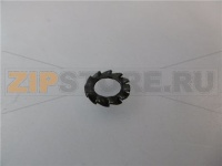 RONDELLA DENTELLATA ESTERNA M5