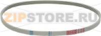 BELT 1034 J5 EL POLYURETHANE