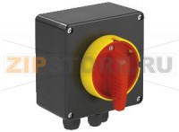 Выключатель Safety Switch Ex e 25 A 3 Pole, GRP Enclosure SAF.P.025.3P.1NO Pepperl+Fuchs