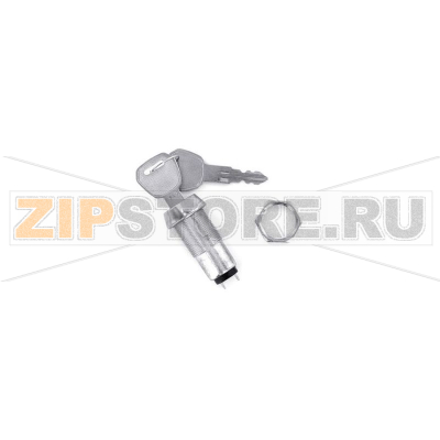 Выключатель с ключом 1 А, 1 x вкл/выкл, 1 шт TRU Components TC-MSS02 