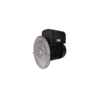 Электродвигатель 7.5 кВт, 2940 об/мин Weishaupt WM-D132/170-2/7K5