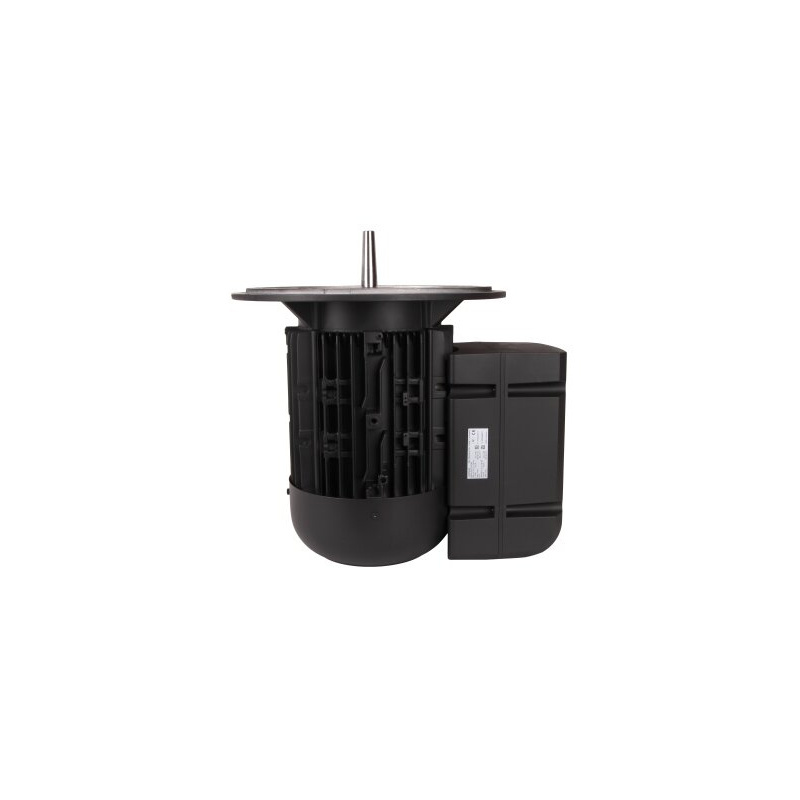 Электродвигатель 7.5 кВт, 2940 об/мин Weishaupt WM-D132/170-2/7K5 