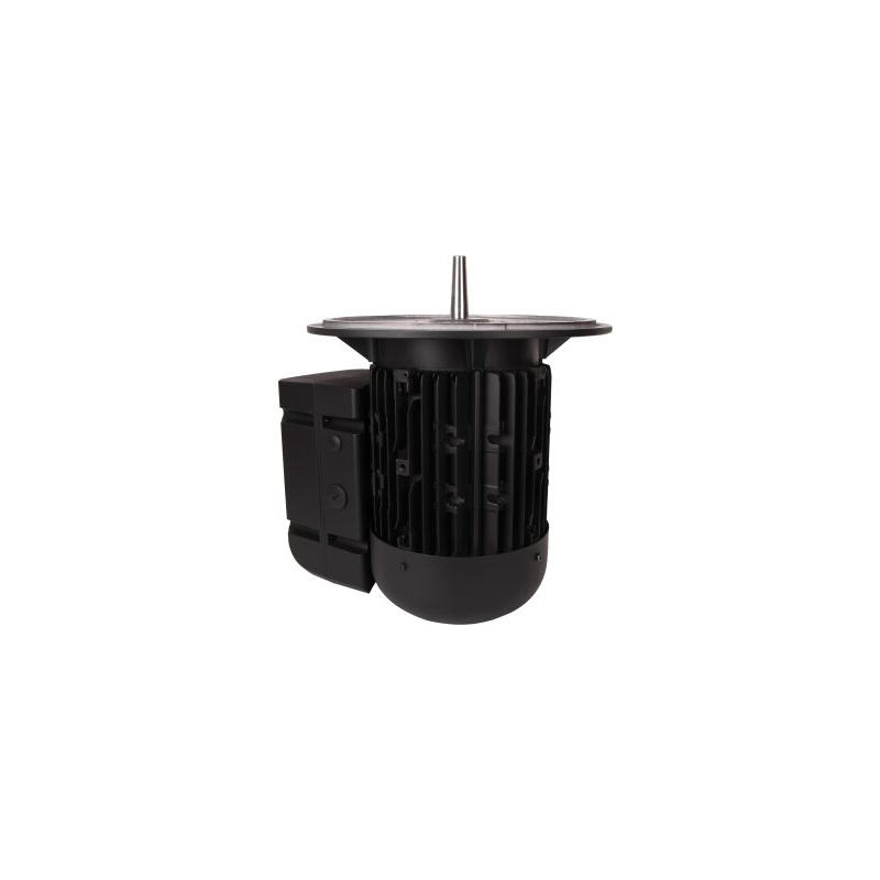 Электродвигатель 7.5 кВт, 2940 об/мин Weishaupt WM-D132/170-2/7K5 