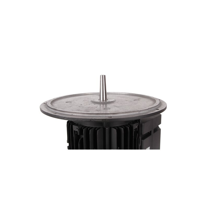Электродвигатель 7.5 кВт, 2940 об/мин Weishaupt WM-D132/170-2/7K5 
