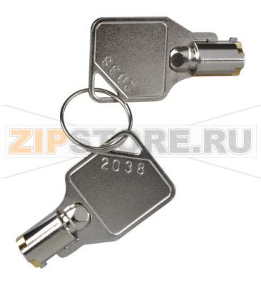 Ключи для ручной блокировки Schneider Electric XCSZ25 