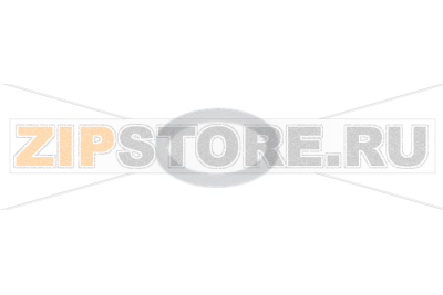 DRAIN PLUG GASKET 