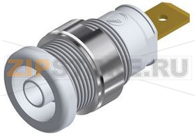 Гнездо 32 А, 1 кВ, белое Hirschmann SEB 2620 F63 WEISS / WHITE 