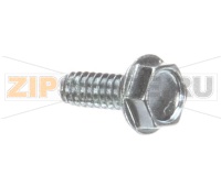 SCREW 10-24X1/2 SPH F