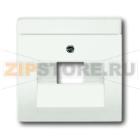 Накладка для однопостовой розетки с полем для надписи, белая ABB 2CKA001710A3889