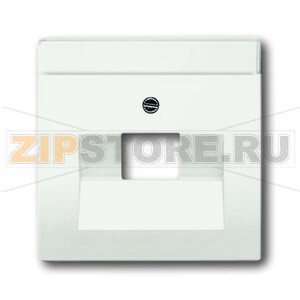 Накладка для однопостовой розетки с полем для надписи, белая ABB 2CKA001710A3889 