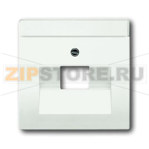 Накладка для однопостовой розетки с полем для надписи, белая ABB 2CKA001710A3889 