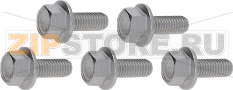 ВИНТ С ШЕСТИГРАННОЙ ГОЛОВКОЙ M8x20 - 5 ШТ. RATIONAL 10.00.936P 