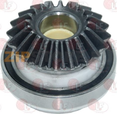 PIGNON ENTRAINEMENT COMPLET 