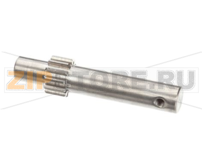 PINION 