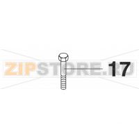 Screw M10x55 Bear Varimixer AR40 VL-1S                                                                         