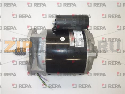 DRIVE MOTOR 