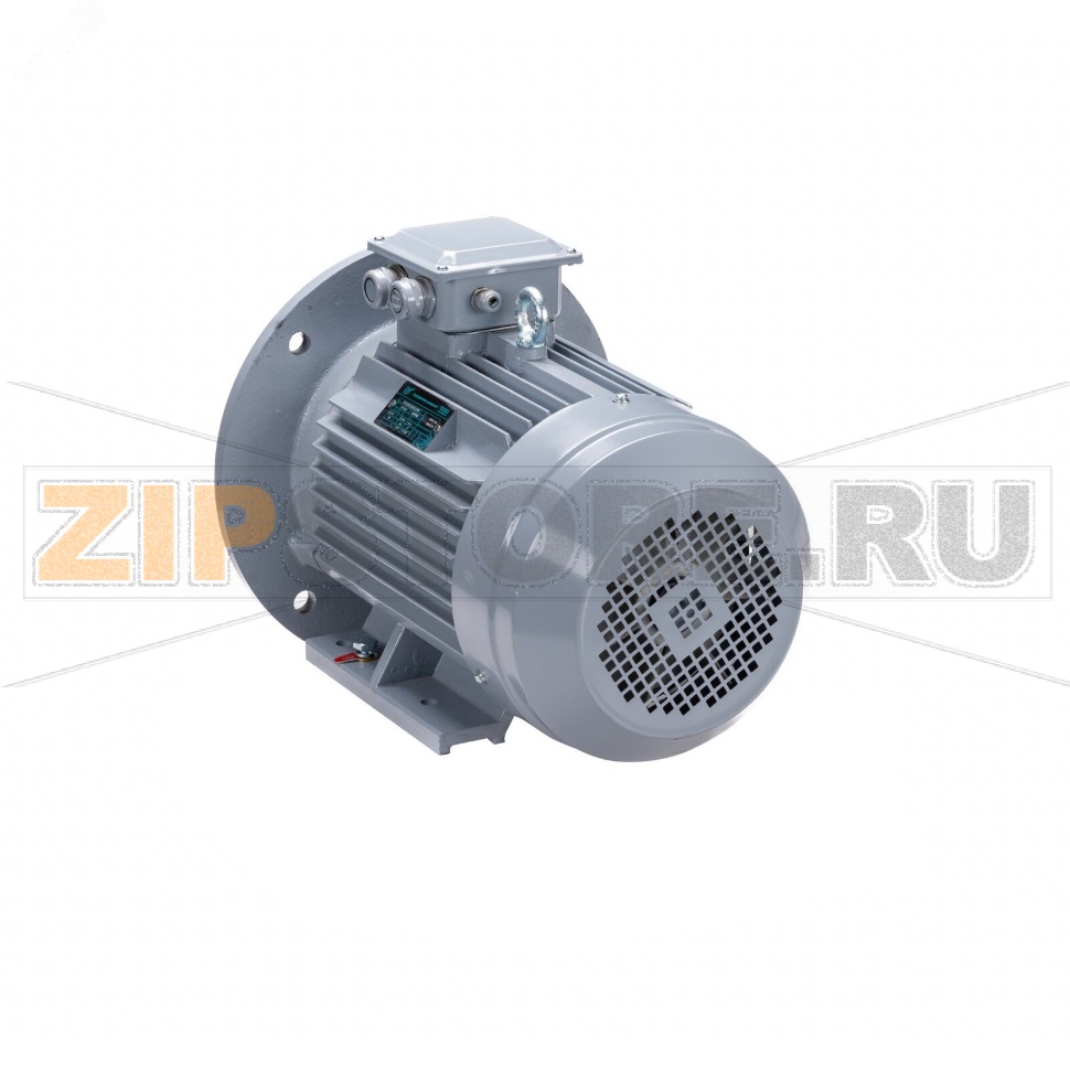 Электродвигатель трехфазный 3000 Вт, 380 В ESQ 01.01.224178 